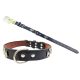 MEDIUM DOG BELT