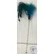 PET TOY 1