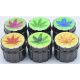 flower 456