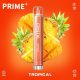 tropical